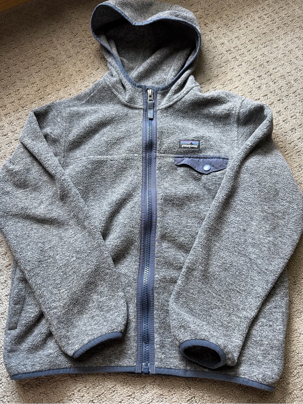 Patagonia Kids Fleece Jacket